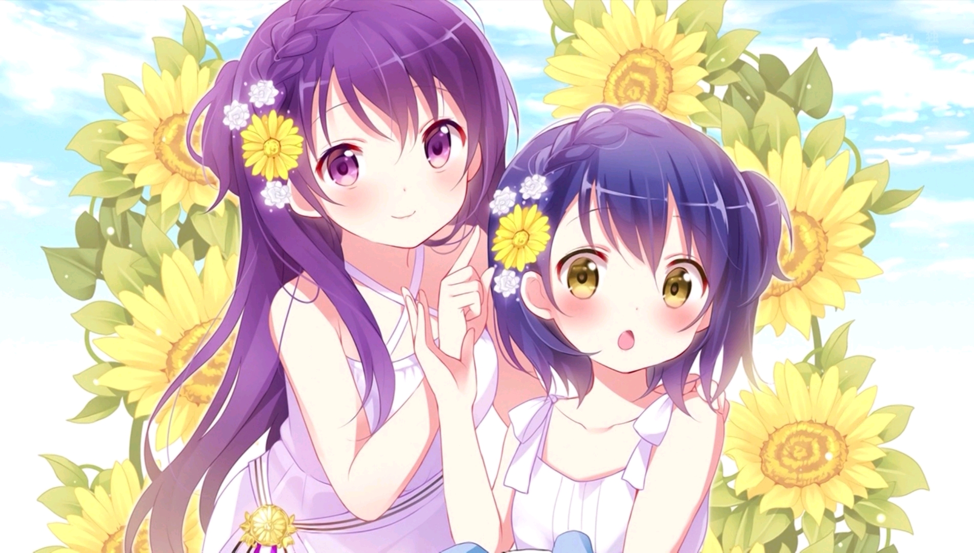 博客主人的遗产